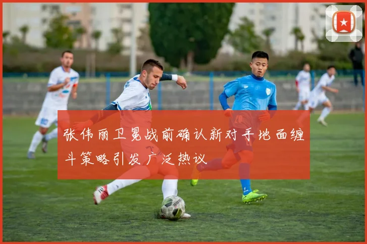 张伟丽卫冕战前确认新对手地面缠斗策略引发广泛热议