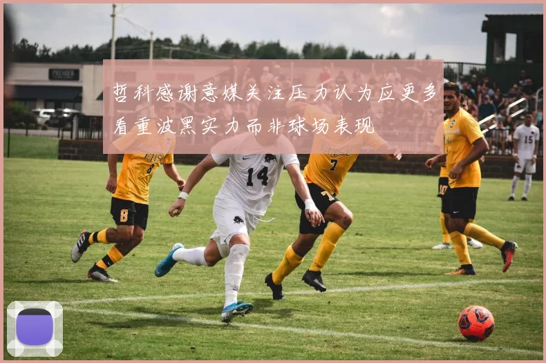 哲科感谢意媒关注压力认为应更多看重波黑实力而非球场表现