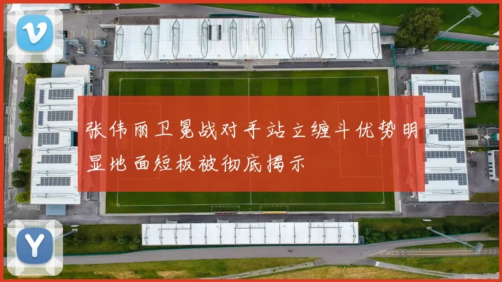 张伟丽卫冕战对手站立缠斗优势明显地面短板被彻底揭示